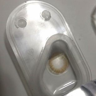 My Ann Fine Brown(月拋)